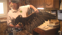 Great Basin Bird TRAILHEAD