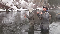 Provo Fly Fishing Experience